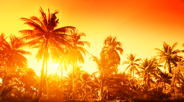 SCENERY mountain`SN 145